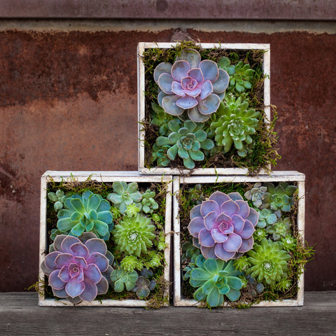 Urban Patio