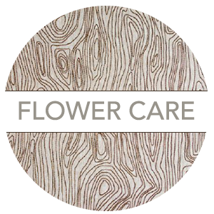 Flower Care